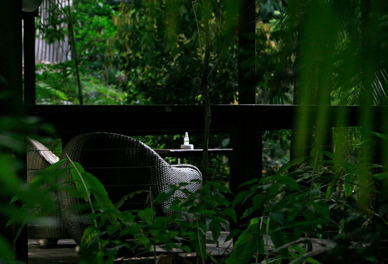 Songbirds Rainforest Retreat Mount Tamborine Eksteriør bilde