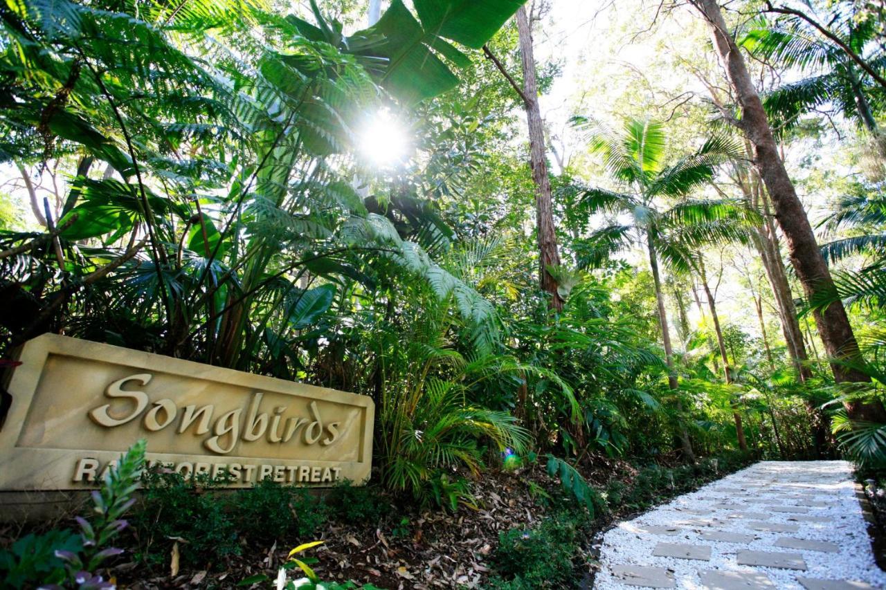 Songbirds Rainforest Retreat Mount Tamborine Eksteriør bilde