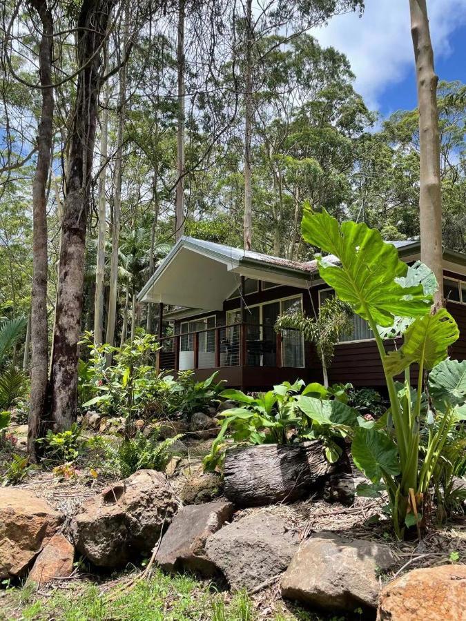 Songbirds Rainforest Retreat Mount Tamborine Eksteriør bilde