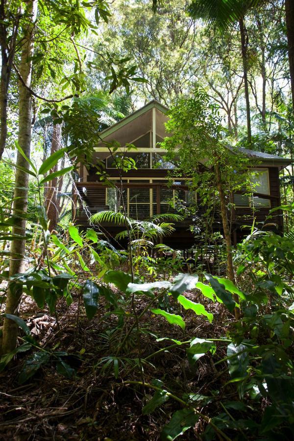 Songbirds Rainforest Retreat Mount Tamborine Eksteriør bilde
