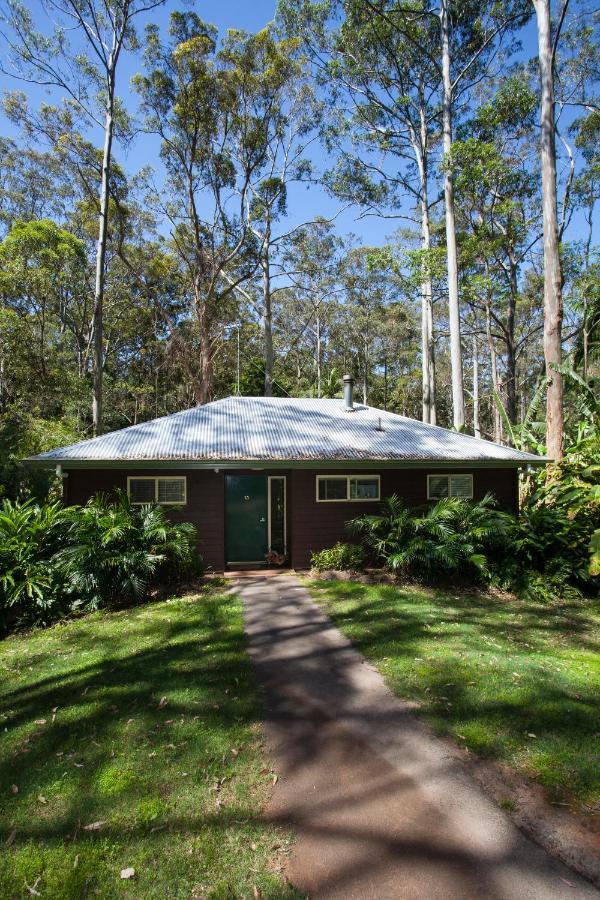 Songbirds Rainforest Retreat Mount Tamborine Eksteriør bilde
