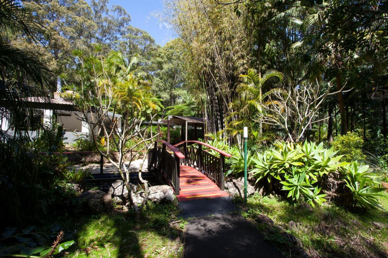 Songbirds Rainforest Retreat Mount Tamborine Eksteriør bilde