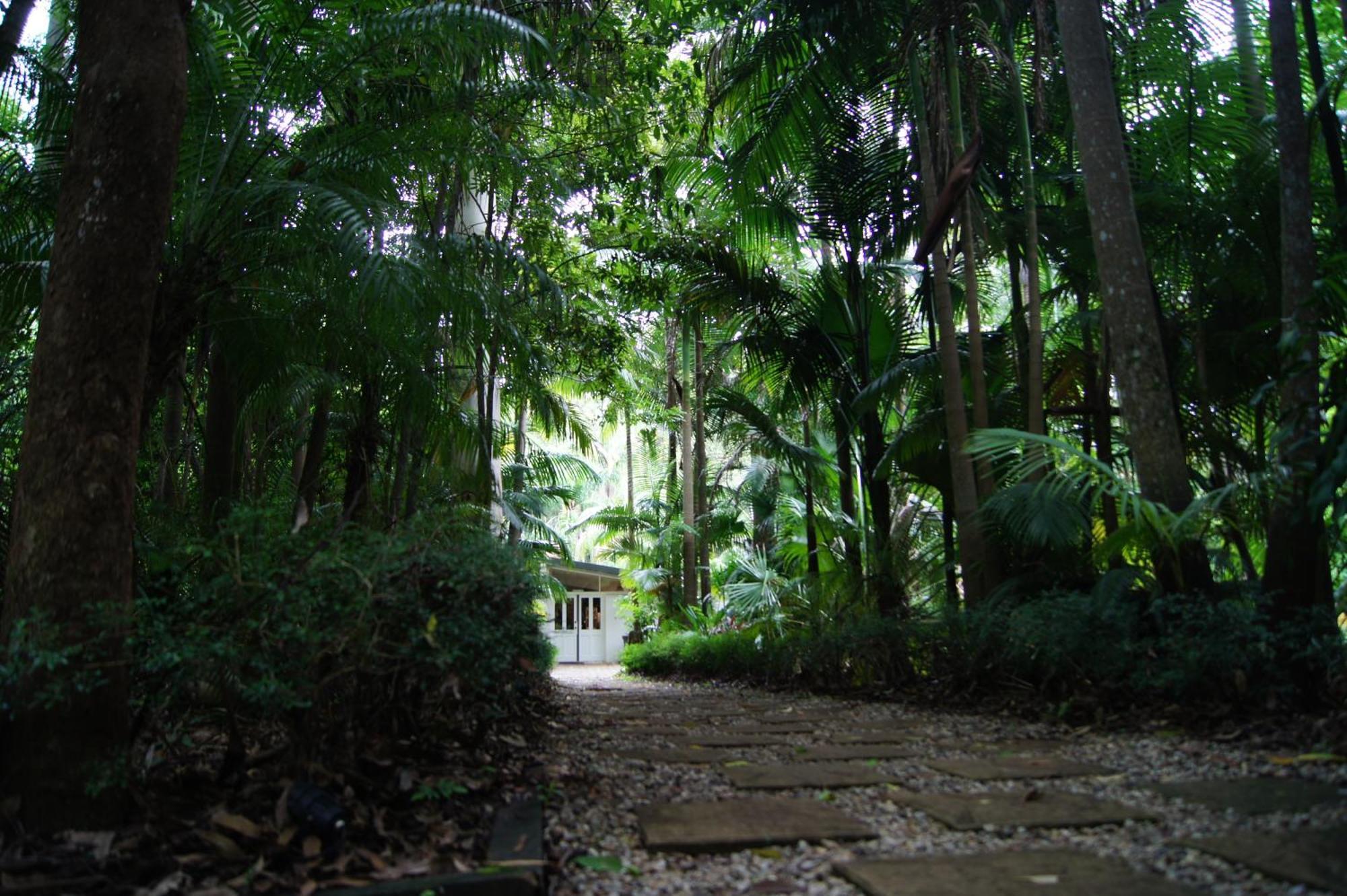Songbirds Rainforest Retreat Mount Tamborine Eksteriør bilde