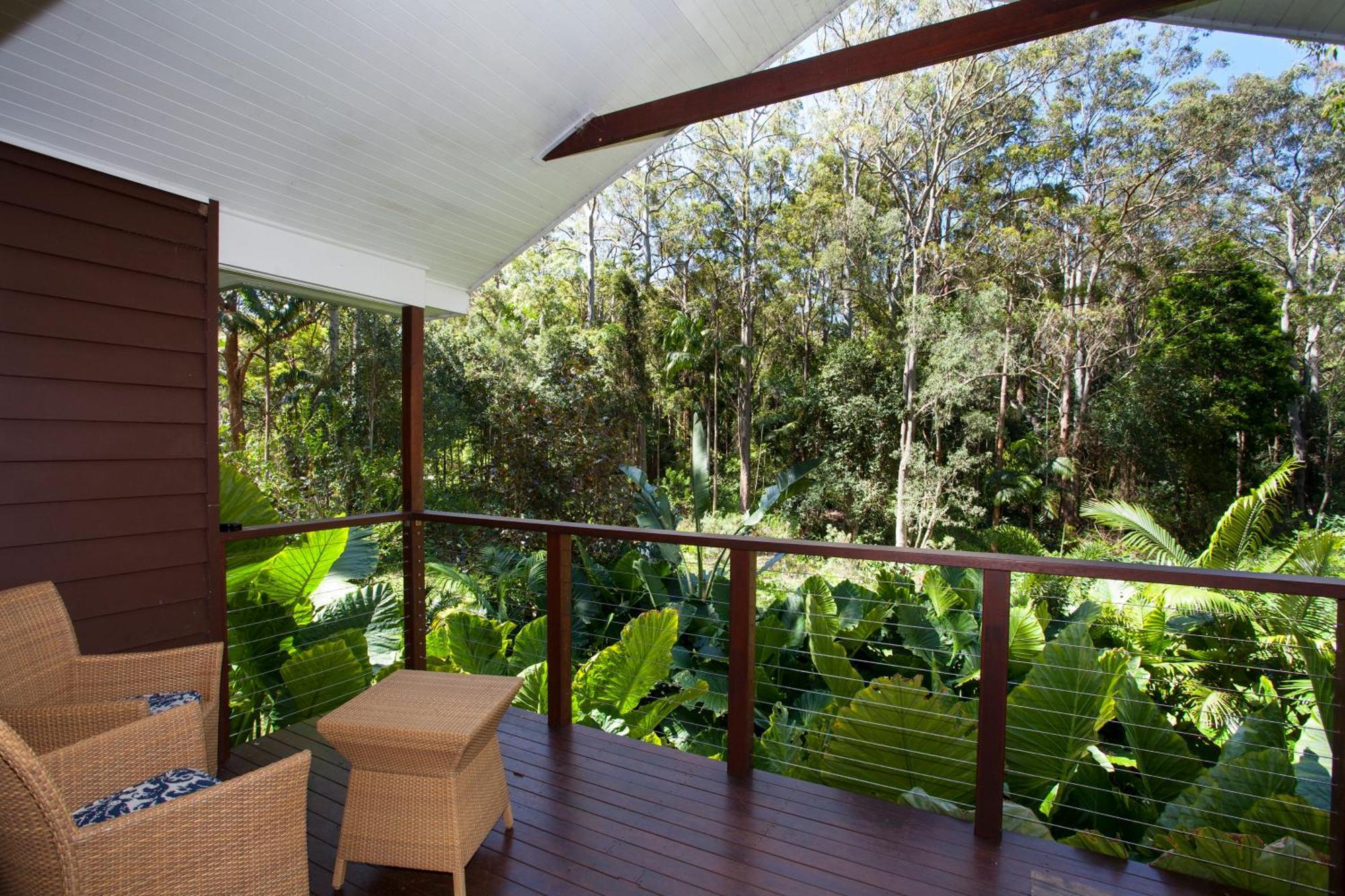 Songbirds Rainforest Retreat Mount Tamborine Eksteriør bilde